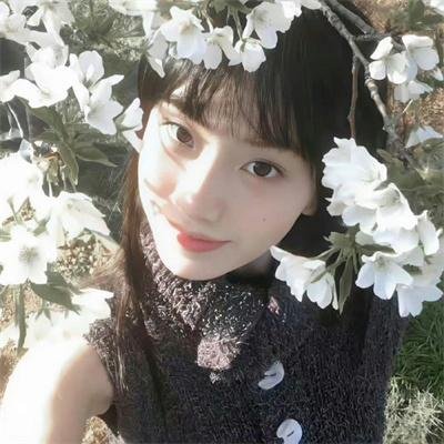 我在岛屿读书